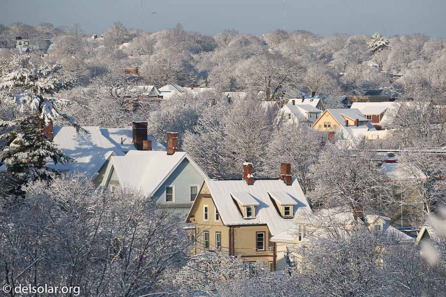 Canon EOS 5D Mark III  --  241 mm  --  EF100-400mm f/4.5-5.6L IS II USM  