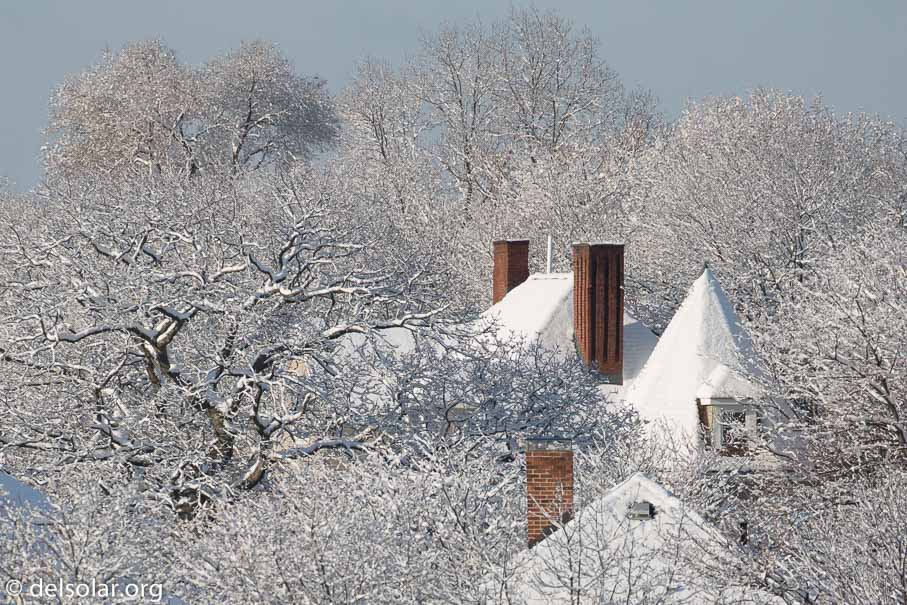 Canon EOS 5D Mark III  --  340 mm  --  EF100-400mm f/4.5-5.6L IS II USM  