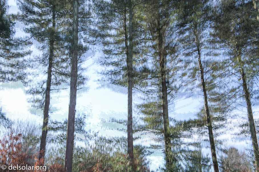 Canon EOS 5D Mark III  --  42 mm  --  EF24-105mm f/3.5-5.6 IS STM  