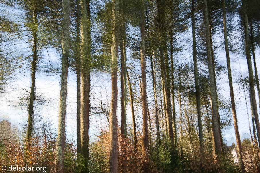 Canon EOS 5D Mark III  --  47 mm  --  EF24-105mm f/3.5-5.6 IS STM  