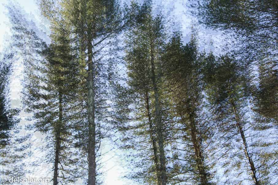 Canon EOS 5D Mark III  --  35 mm  --  EF24-105mm f/3.5-5.6 IS STM  