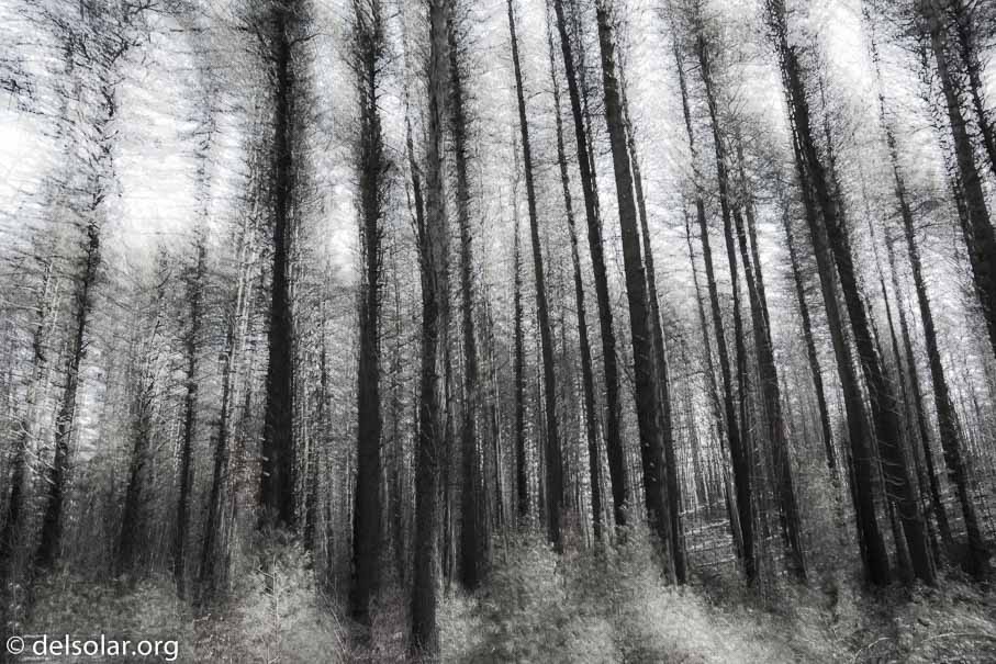 Canon EOS 5D Mark III  --  28 mm  --  EF24-105mm f/3.5-5.6 IS STM  