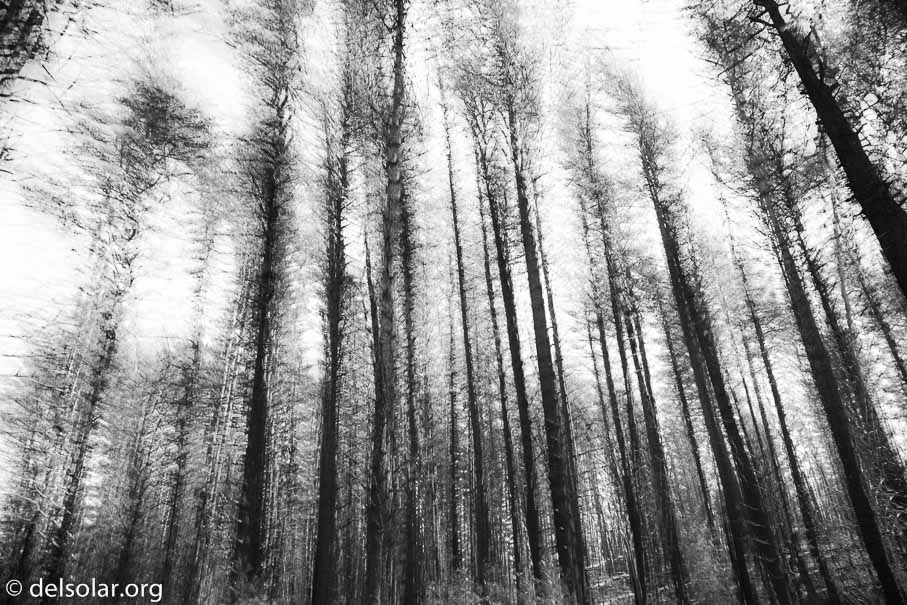 Canon EOS 5D Mark III  --  24 mm  --  EF24-105mm f/3.5-5.6 IS STM  