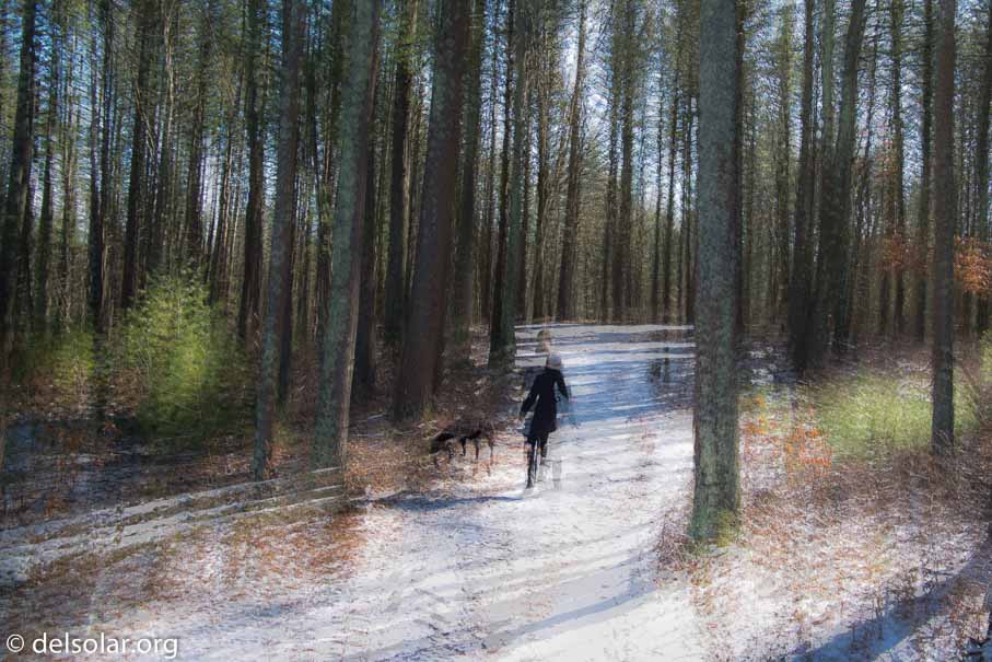 Canon EOS 5D Mark III  --  24 mm  --  EF24-105mm f/3.5-5.6 IS STM  