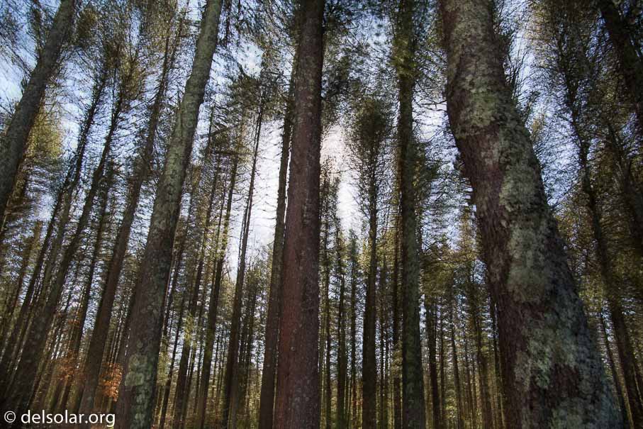 Canon EOS 5D Mark III  --  24 mm  --  EF24-105mm f/3.5-5.6 IS STM  