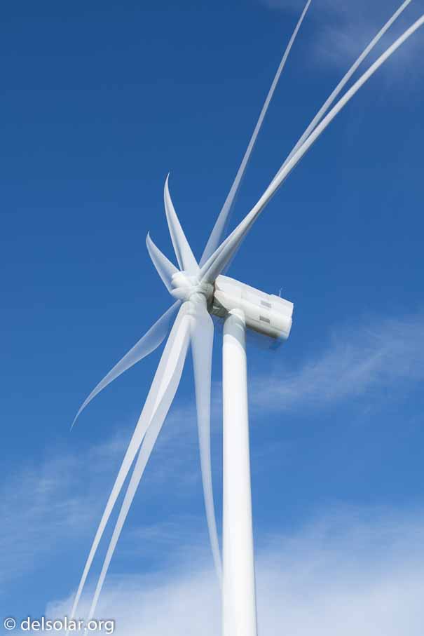 Canon EOS 5D Mark III  --  35 mm  --  EF24-105mm f/3.5-5.6 IS STM  