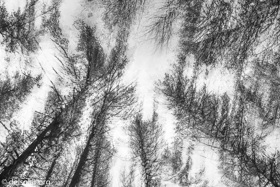 Canon EOS 5D Mark III  --  24 mm  --  EF24-105mm f/3.5-5.6 IS STM  