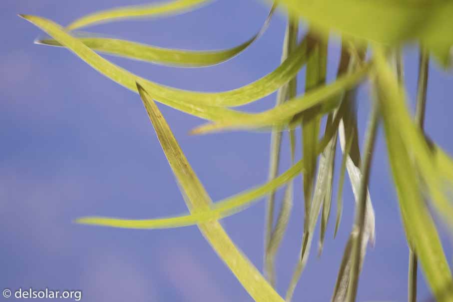 Canon EOS 7D Mark II  --  400 mm  --  EF100-400mm f/4.5-5.6L IS II USM  