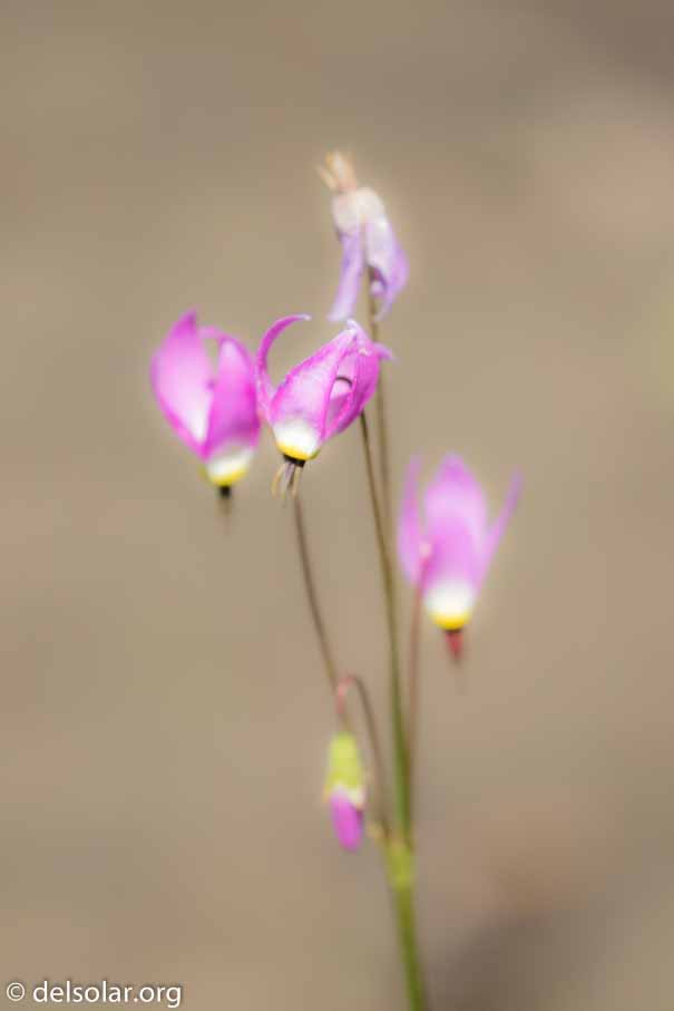 Canon EOS 7D Mark II  --  400 mm  --  EF100-400mm f/4.5-5.6L IS II USM  