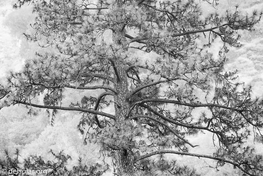 Canon EOS 5D Mark III  --  176 mm  --  EF100-400mm f/4.5-5.6L IS II USM  