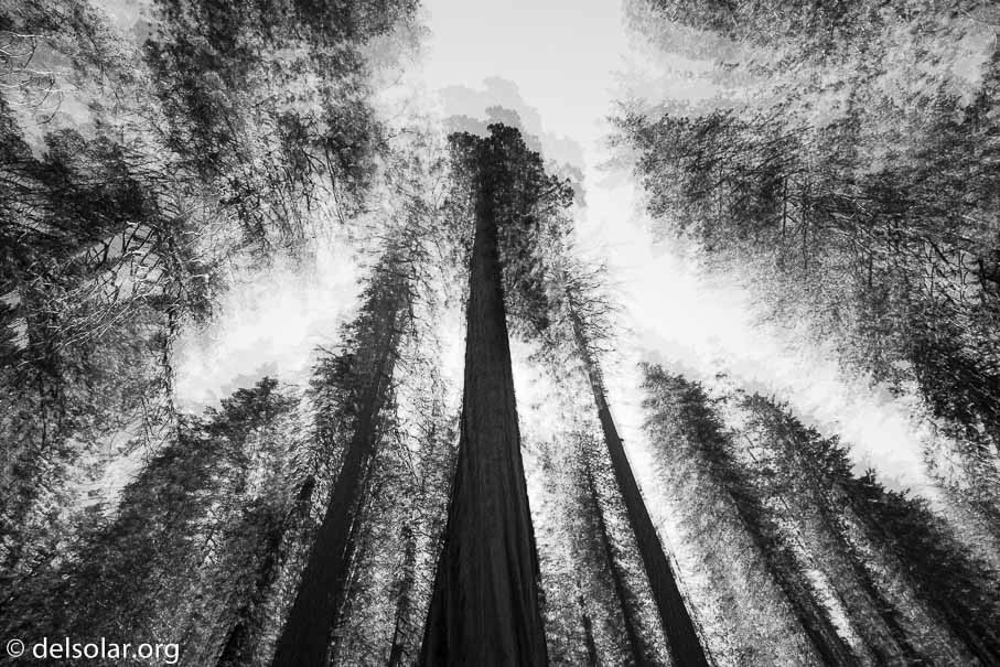 Canon EOS 5D Mark III  --  16 mm  --  EF16-35mm f/4L IS USM  