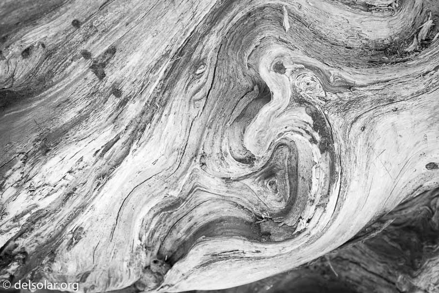 Canon EOS 5D Mark III  --  35 mm  --  EF16-35mm f/4L IS USM  