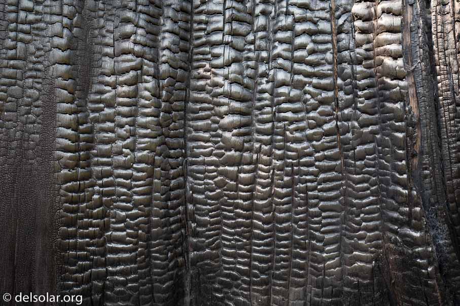 Canon EOS 5D Mark III  --  35 mm  --  EF16-35mm f/4L IS USM  