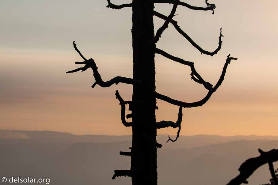 Canon EOS 5D Mark III  --  100 mm  --  EF100-400mm f/4.5-5.6L IS II USM  