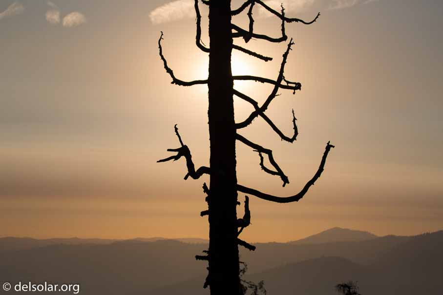 Canon EOS 5D Mark III  --  100 mm  --  EF100-400mm f/4.5-5.6L IS II USM  