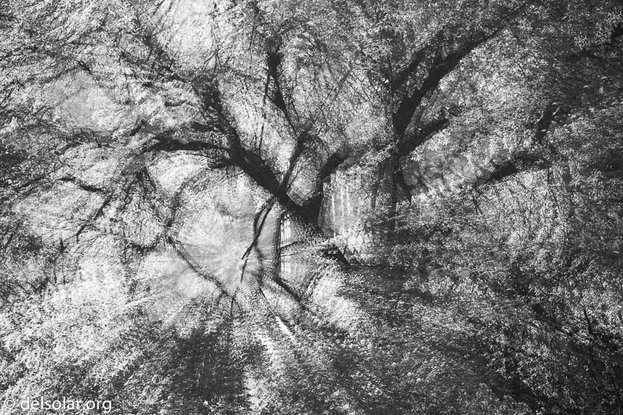 Canon EOS 5D Mark III  --  286 mm  --  EF100-400mm f/4.5-5.6L IS II USM  