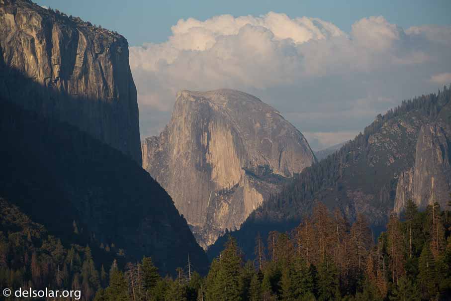 Canon EOS 5D Mark III  --  300 mm  --  EF100-400mm f/4.5-5.6L IS II USM  