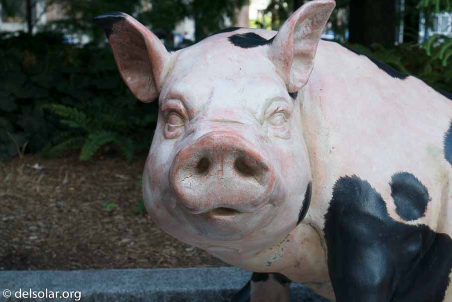 ILCE-6000  --  E 35mm F1.8 OSS -- 1/80 sec at f / 6.3 -- ISO 320 -- 0 EV -- 