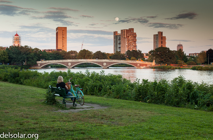 Canon EOS 5D Mark II  --  50 mm  --  EF50mm f/1.4 USM  