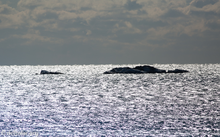 Canon EOS 5D Mark III  --  400 mm  --  EF400mm f/5.6L USM  