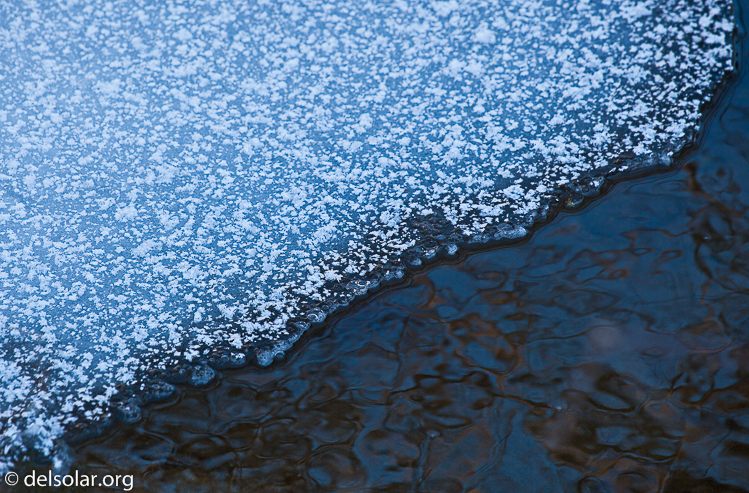 Canon EOS 5D Mark II  --  184 mm  --  EF70-200mm f/4L USM  