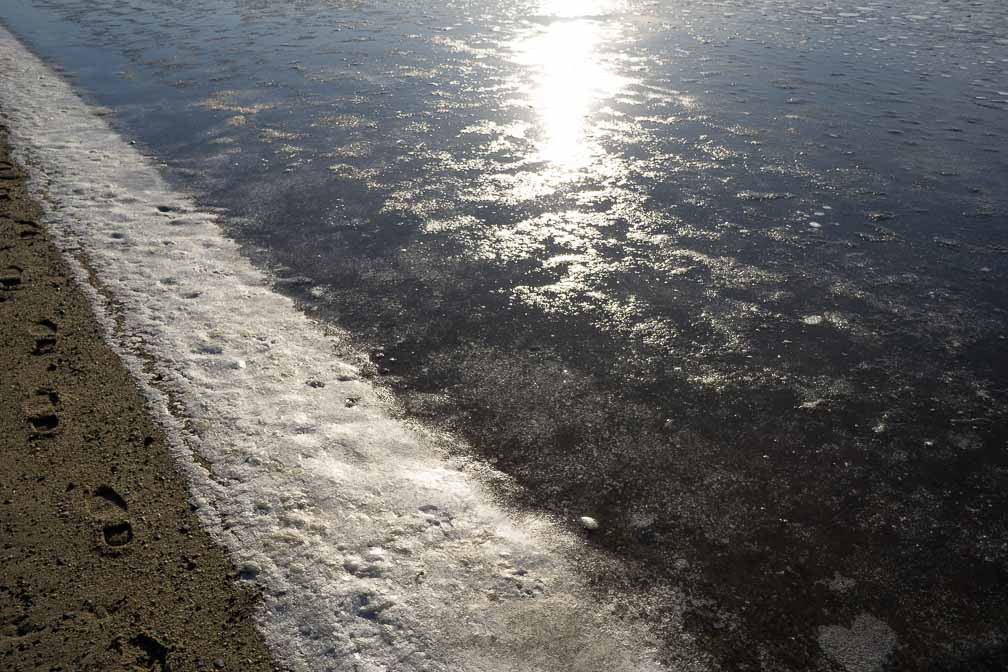 ILCE-6000  --  E 20mm F2.8 -- 1/3200 sec at f / 6.3 -- ISO 200 -- 0 EV -- 