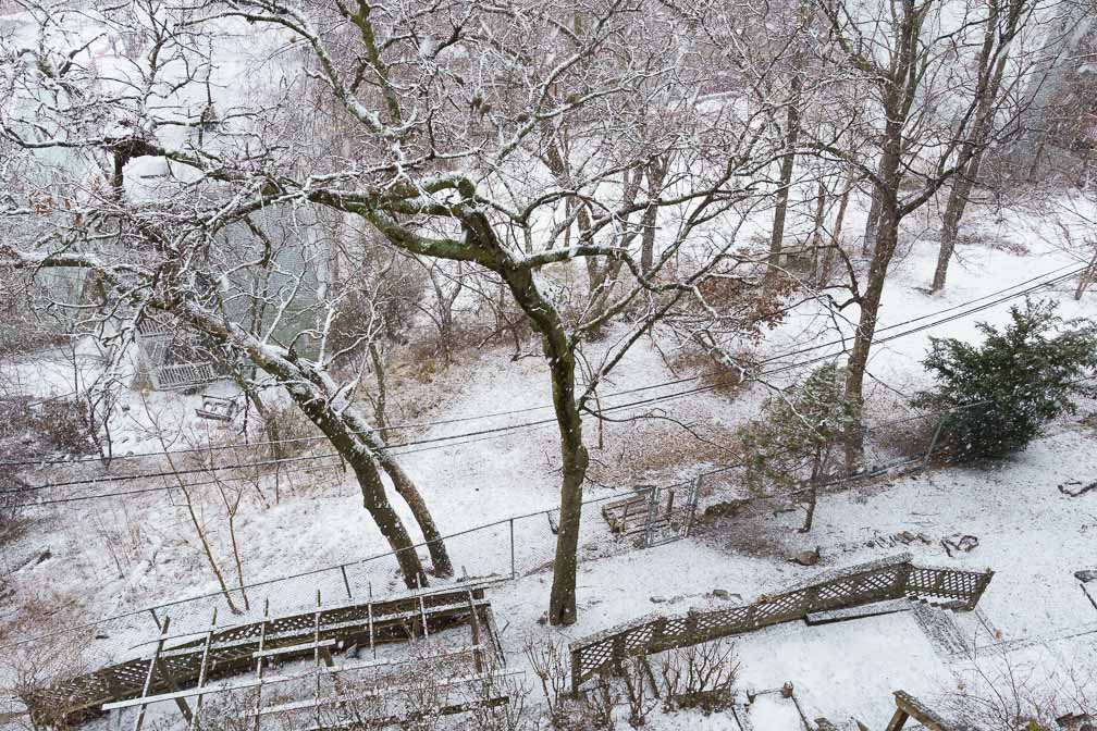 ILCE-6600  --  E 17-28mm F2.8-2.8 -- 1/60 sec at f / 8.0 -- ISO 640 -- 0 EV -- 