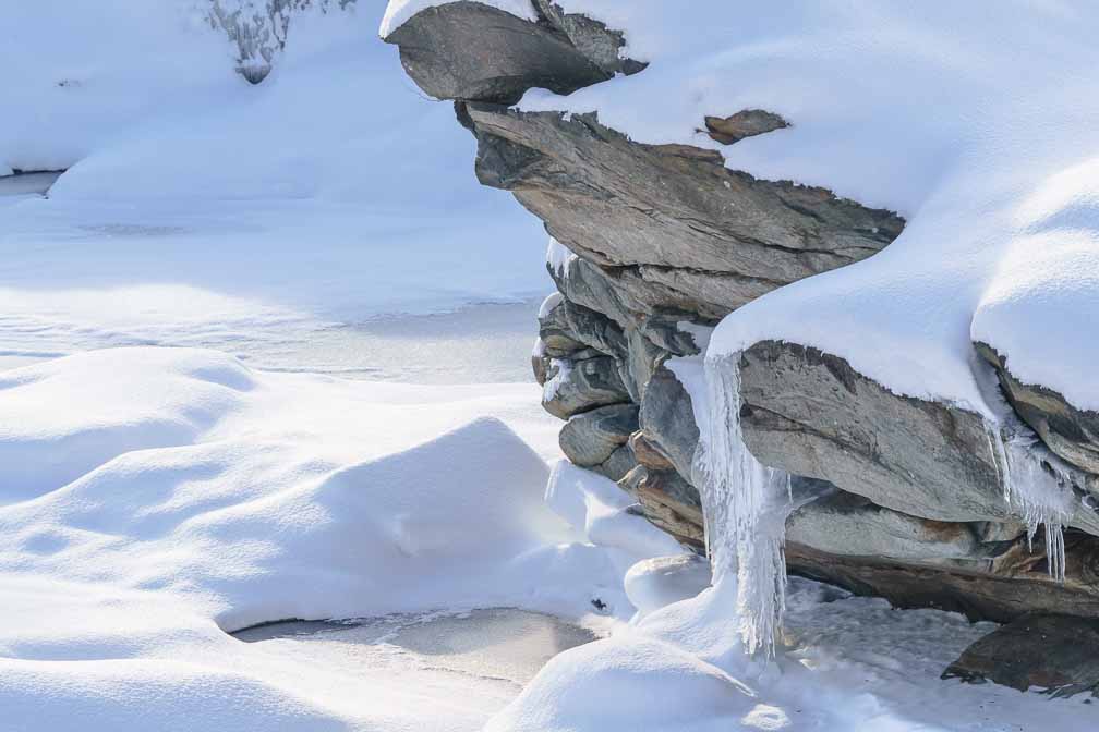 ILCE-6600  --  FE 90mm F2.8 Macro G OSS -- 1/400 sec at f / 8.0 -- ISO 250 -- 0 EV -- 