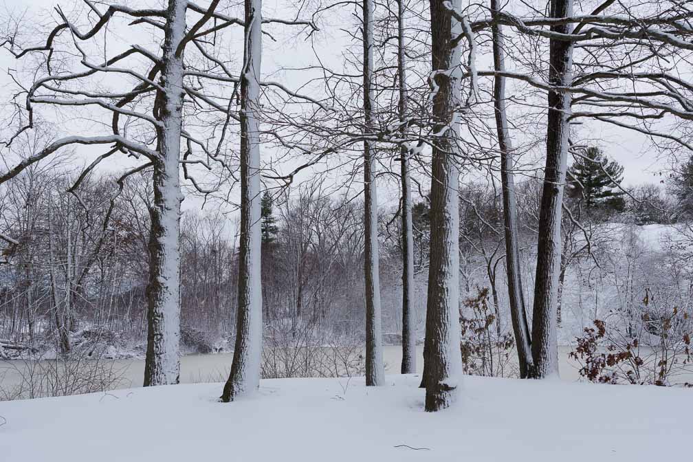 ILCE-7M3  --  E 17-28mm F2.8-2.8 -- 1/320 sec at f / 8.0 -- ISO 160 -- 0 EV -- 