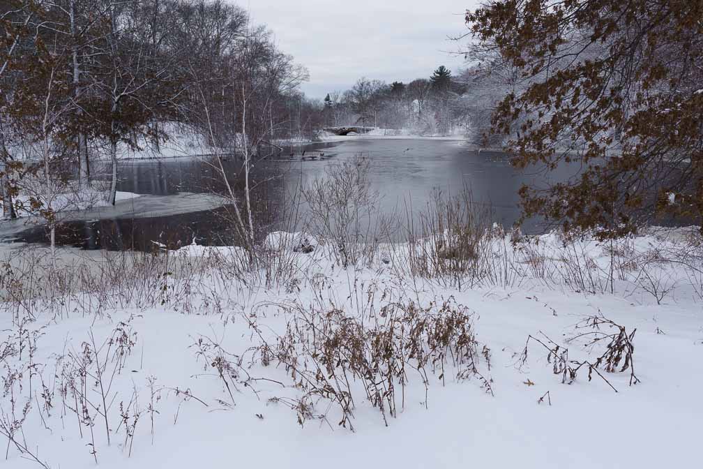 ILCE-7M3  --  E 17-28mm F2.8-2.8 -- 1/320 sec at f / 8.0 -- ISO 160 -- 0 EV -- 