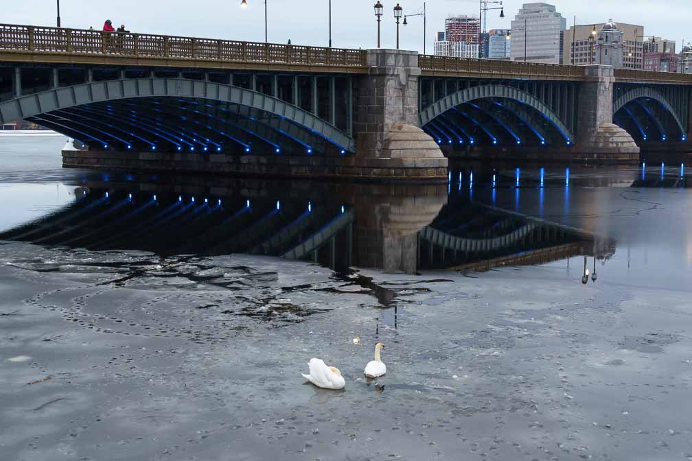 ILCE-7M3  --  E 28-200mm F2.8-5.6 A071 -- 1/30 sec at f / 7.1 -- ISO 640 -- 0 EV -- 