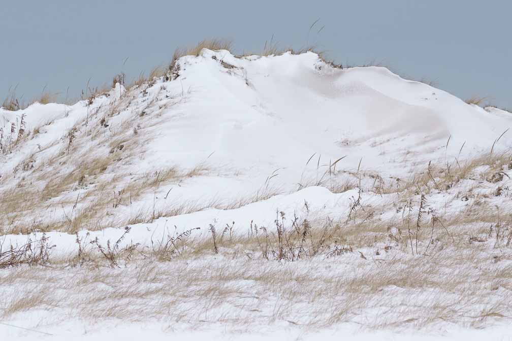 ILCE-7M3  --  DT 100-400mm F4.5-5.6 SAM -- 1/1000 sec at f / 10 -- ISO 1250 -- 3/10 EV -- 