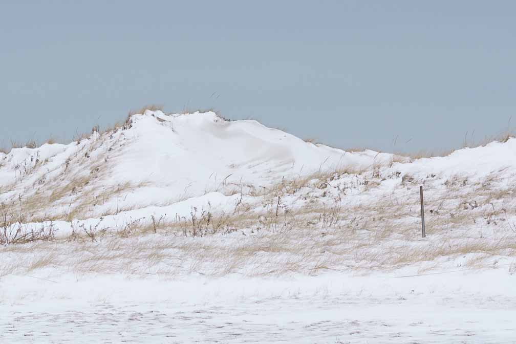 ILCE-7M3  --  DT 100-400mm F4.5-5.6 SAM -- 1/800 sec at f / 10 -- ISO 1250 -- 3/10 EV -- 