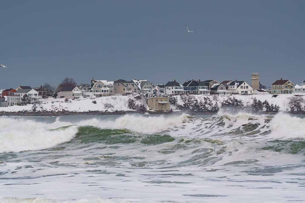 ILCE-7M3  --  DT 100-400mm F4.5-5.6 SAM -- 1/2000 sec at f / 5.6 -- ISO 1250 -- 3/10 EV -- 