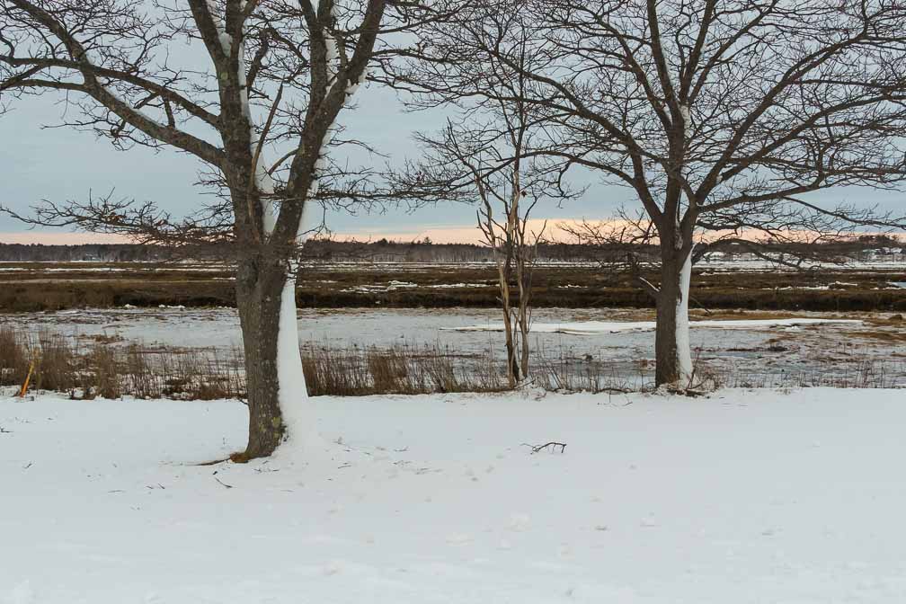 ILCE-7M3  --  E 28-200mm F2.8-5.6 A071 -- 1/200 sec at f / 8.0 -- ISO 1250 -- 0 EV -- 