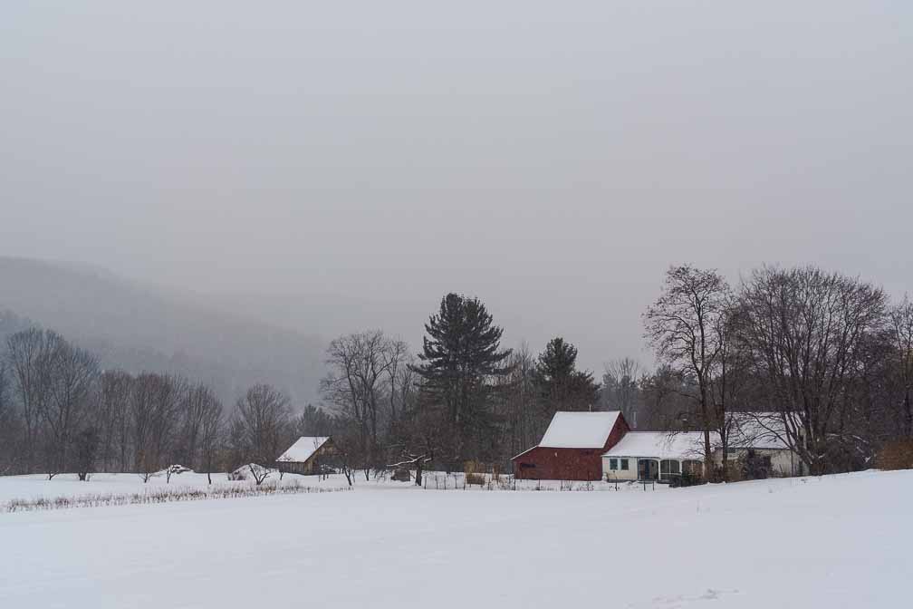 ILCE-7M3  --  E 28-200mm F2.8-5.6 A071 -- 1/160 sec at f / 7.1 -- ISO 125 -- 3/10 EV -- 