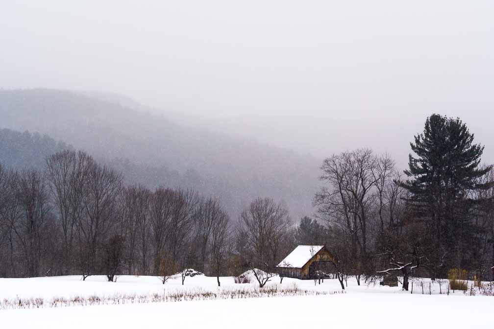 ILCE-7M3  --  E 28-200mm F2.8-5.6 A071 -- 1/160 sec at f / 7.1 -- ISO 160 -- 3/10 EV -- 