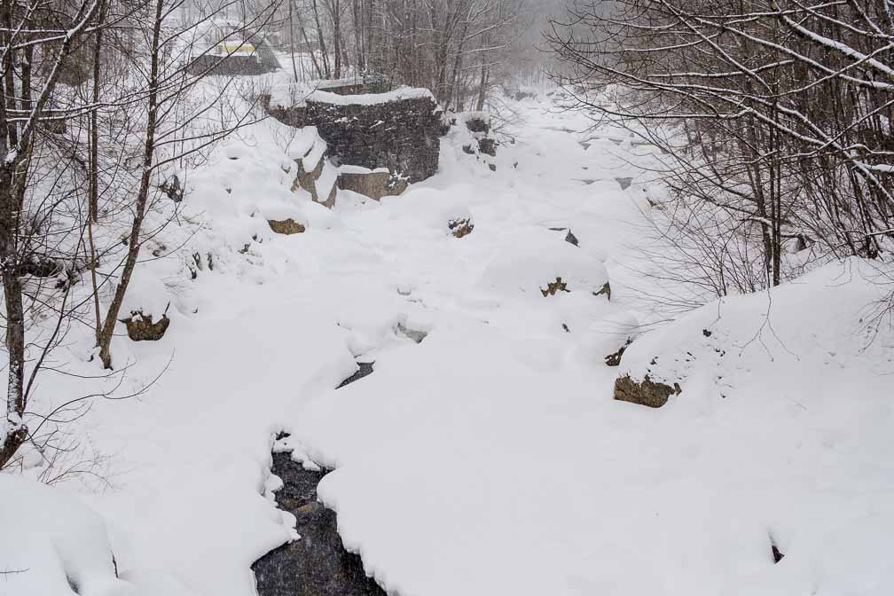 ILCE-7M3  --  E 28-200mm F2.8-5.6 A071 -- 1/125 sec at f / 7.1 -- ISO 100 -- 3/10 EV -- 