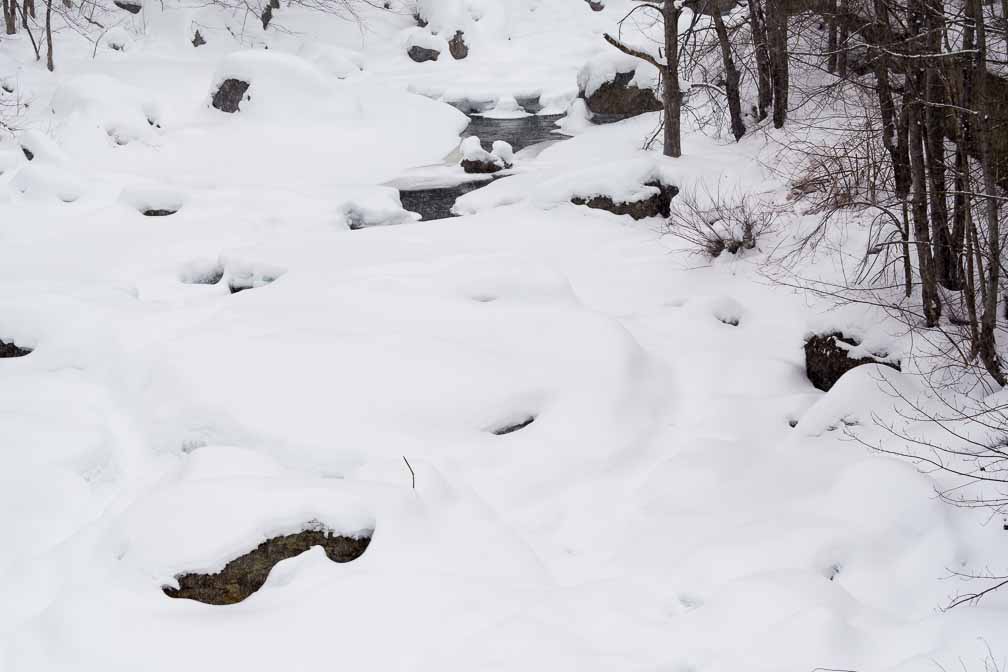 ILCE-7M3  --  E 28-200mm F2.8-5.6 A071 -- 1/125 sec at f / 7.1 -- ISO 100 -- 3/10 EV -- 