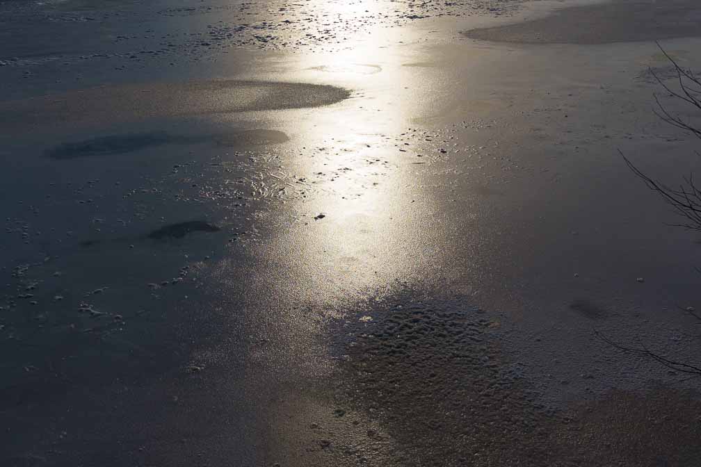 ILCE-7M3  --  E 28-200mm F2.8-5.6 A071 -- 1/2000 sec at f / 8.0 -- ISO 200 -- 0 EV -- 