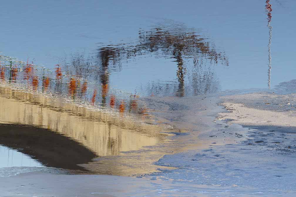 ILCE-7M3  --  E 28-200mm F2.8-5.6 A071 -- 1/160 sec at f / 8.0 -- ISO 200 -- 0 EV -- 