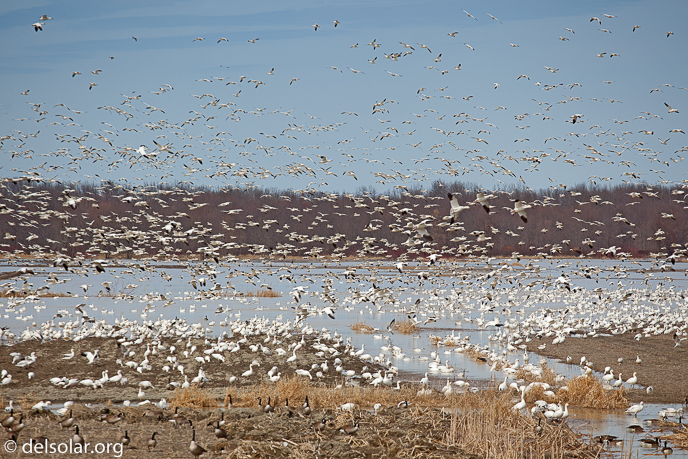Canon EOS 5D Mark II  --  200 mm  --  EF70-200mm f/4L USM  