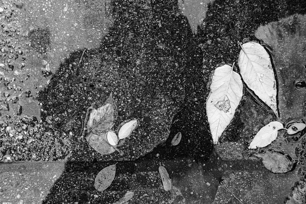 Canon EOS R7  --   -- 1/250 sec -- ISO 200 -- 0 EV -- 