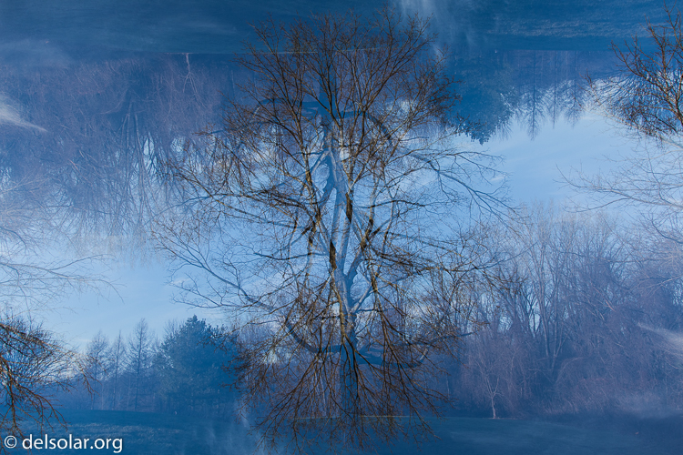 Canon EOS 5D Mark III  --  24 mm  --  EF24-105mm f/4L IS USM  