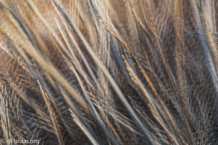 Canon EOS 5D Mark III  --  96 mm  --  EF24-105mm f/4L IS USM  