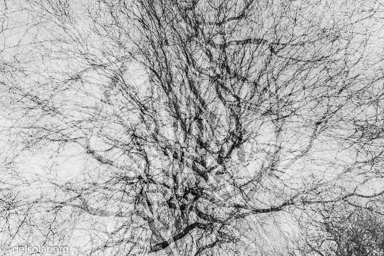 Canon EOS 5D Mark III  --  24 mm  --  EF24-105mm f/4L IS USM  