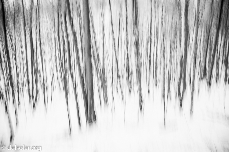 Canon EOS 5D Mark III  --  24 mm  --  EF24-105mm f/4L IS USM  