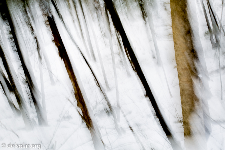 Canon EOS 5D Mark III  --  55 mm  --  EF24-105mm f/4L IS USM  