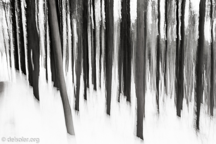 Canon EOS 5D Mark III  --  35 mm  --  35mm  