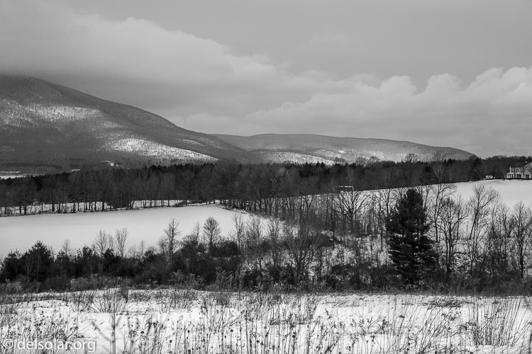 Canon EOS 5D Mark II  --  60 mm  --  EF24-105mm f/4L IS USM  